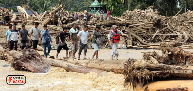 Legislator Minta Pemerintah Investigasi Kayu Gelondongan Banjir Sumut