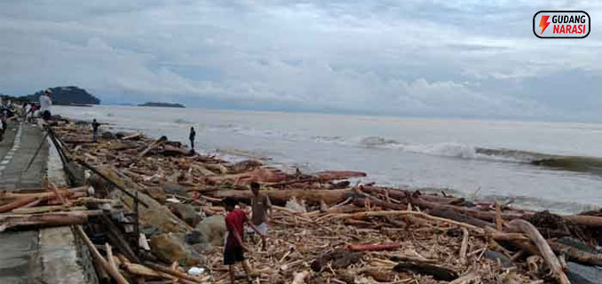 Pantai Air Tawar Dipenuhi Kayu Gelondongan Setelah Banjir Bandang