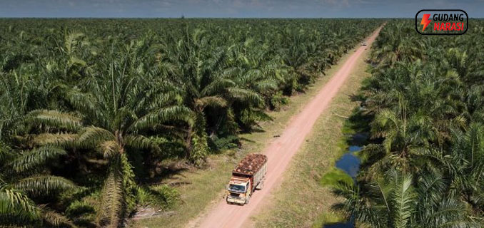 UNSP Catat Laba Operasi Rp 310 Miliar pada Kuartal III 2025