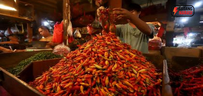 Harga Cabai Meroket Rp100 Ribu per Kg di Medan Imbas Banjir