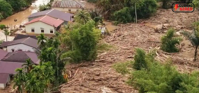 Sumatera Darurat Ekologi Tragedi Bencana dan Jejak Kayu Gelondongan di Sungai